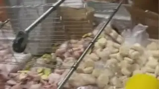 Police say former worker at Rogers Park Popeyes trashed restaurant, stole money