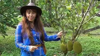 Fairchild Farm Tour