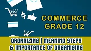 Organizing | Meaning Steps & Importance Of Organising | Organization Structure |