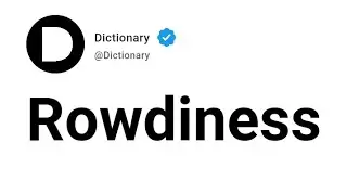 Rowdiness Meaning In English