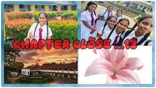 End of Exams – Time to Breathe✨🍃 Exam ඉවර වුණා – දැන් සන්සුන් 😌💖#minivlog #school 