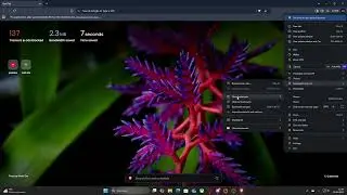 BRAVE Browser &ndash; Как скрыть панель закладок