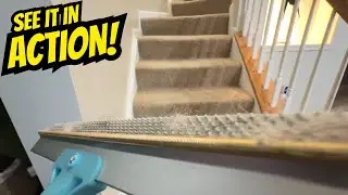 If You Own A Dog or Cat, You ABSOLUTELY Need This Tool