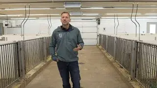 FerAppease Swine Beneficial at Weaning, Vaccination, & Transportation