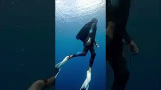 Underwater Superhero #freediving #batman