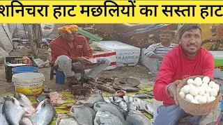 शनिचरा हाट मछलियों का सस्ता हाट #ramgarhdesivlog #sanichrabajaar #villagemarket #weekendmarket 