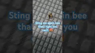 I hate bees but I don't too #memes