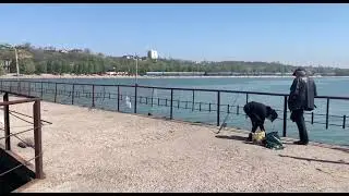 11 февраля 2026 г.