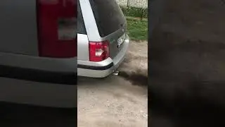 1.9 tdi popcorn