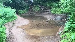 Devkund Waterfall - Trekking Scene1
