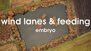 EMBRYO Creating The Perfect CARP FISHERY!
