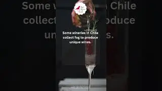 #drinktrends #cocktail #waterintowine #cocktailshorts #alcoholshorts  #alcoholfacts #wine
