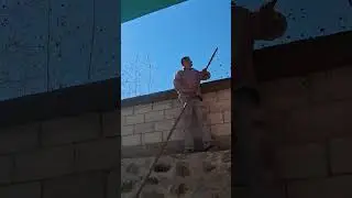 Pescando un bagre #viral #humor #bagregotomotif #pesca
