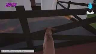Let's Play   Catch A Lover Part 1