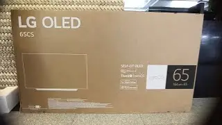 LG OLED 65CS6LA 65-Inch 4K TV Unboxing, Setup & Picture Test OLED Cinema HDR | WebOS Smart AI ThinQ