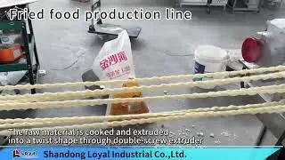 Fried food production line@food machine manufacturer