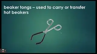 Lab Equipment for AP Biology