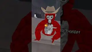 Monkespyvr to mattvr