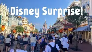 Disney World 2025 | Семейный сюрприз!