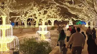 New Worlds Await at TXU Energy presents Zoo Lights