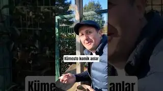 İlker Ayrık ile k&uuml;meste eğlenceli anlar