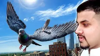 FLYING PIGEON BIRD SIMULATOR GAME PLAY