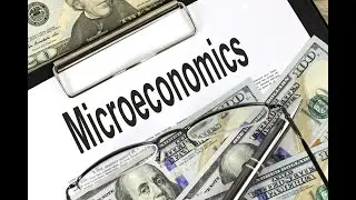 Microeconomics: Understanding the Basics of Economic Behavior (16 Minutes)