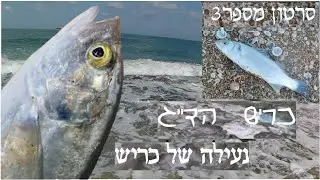 דייג מפלצות | חנות כריש הדייג