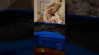 altec lansing baby boom 10 hurts to 50 bass test flexing speakets