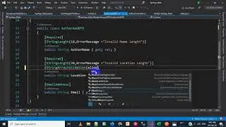 Asp Net Core - RESTFUL API - Custom Validation