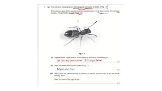 Identifying organisms in IGCSE Biology