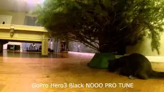 GoPro Hero3 ProTune vs NO ProTune