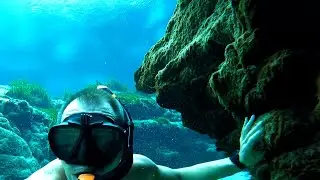 Freediving in SECRET Florida springs.