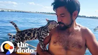 Кошка счастлива, исследуя природу вместе с папой | The Dodo