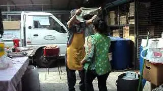 MOV04675