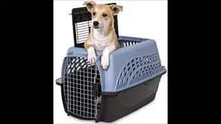 Petmate Two Door Top Load Pet Kennel