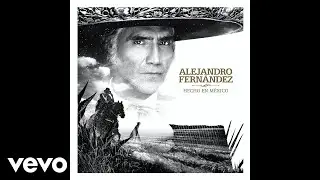 Alejandro Fern&aacute;ndez - Nuestro Gran Secreto (Audio Oficial)