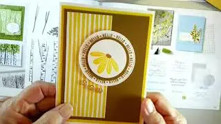 January - April 2026 Mini Catalog highlights with samples