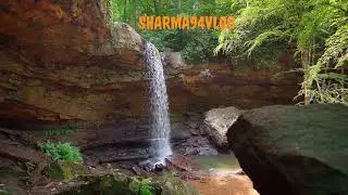 sharma9+4+++vlogs+++++#shortsfeed #food #trend #bhojpuri #viral #ytshorts #funny #ytsharts
