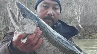 Bobber and jig for Winter Steelhead 