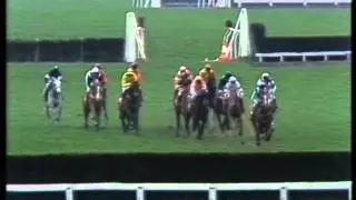 1991 Imperial Cup Handicap Hurdle