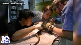 Watch out for snakes, but don't kill them