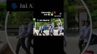 MDU university ❌ Zoo✅ Rohtak Haryana #rohtak #haryana #university #mdu #mdurohtak #mdulatestupdate