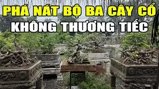 Rất Nhiều Tiểu Cảnh, Sanh Nam Điền, Sanh Lá Móng,... Rất Đẹp Cho Anh Em Chơi Tết