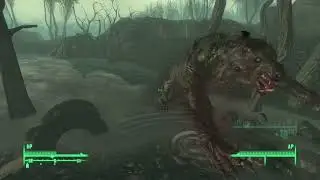 Ruzka: a Unique Yao Guai in Point Lookout