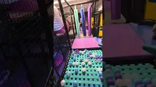 Happy Kingdom Lawrence (kids indoor playground)