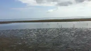 Walvis Bay, Namibia (May 2024)