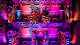 KHUAIGU NA LAAM  (BEE DANCE) || RONGMEI  NAGA TRIBE MANIPUR || PROFESSIONAL DANCE TROOP