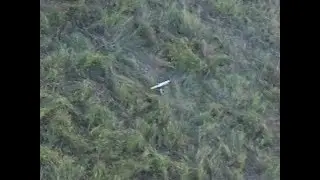 Aerial Search for Lost RC Airplane with Quadcopter