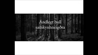 Andlegt bull samkynhneig&eth;ra - W&aring;hrvm